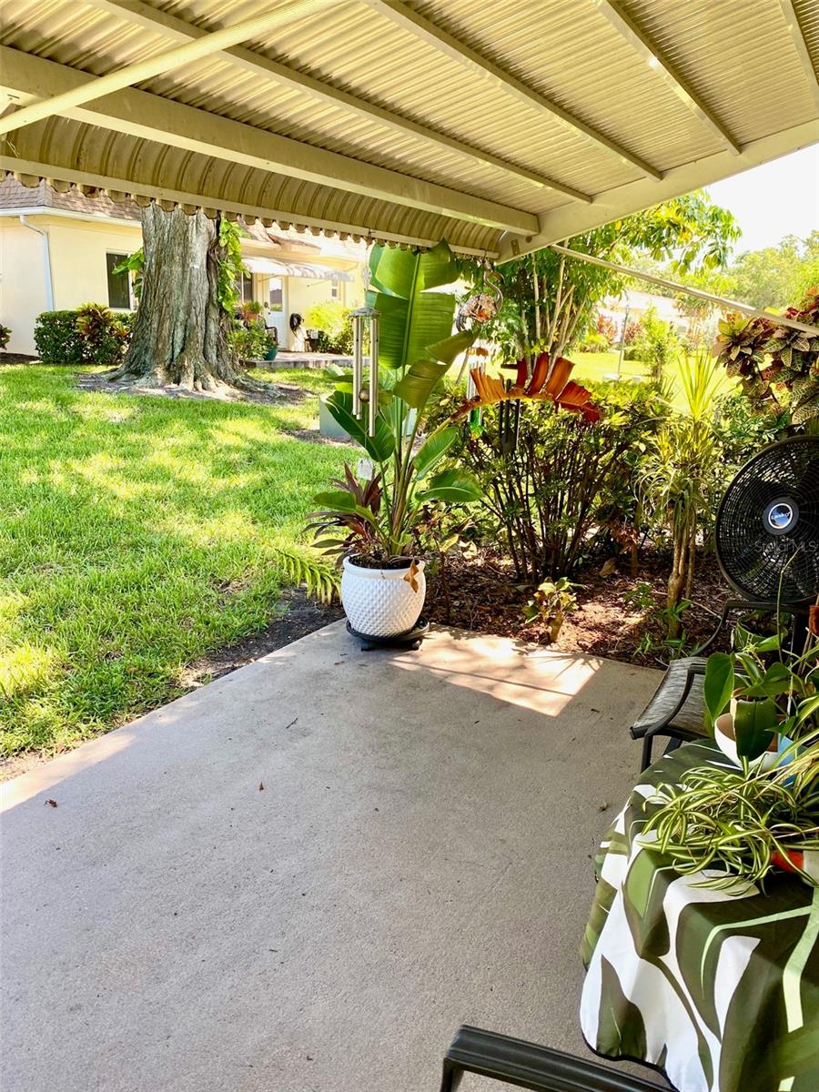 Covered Patio