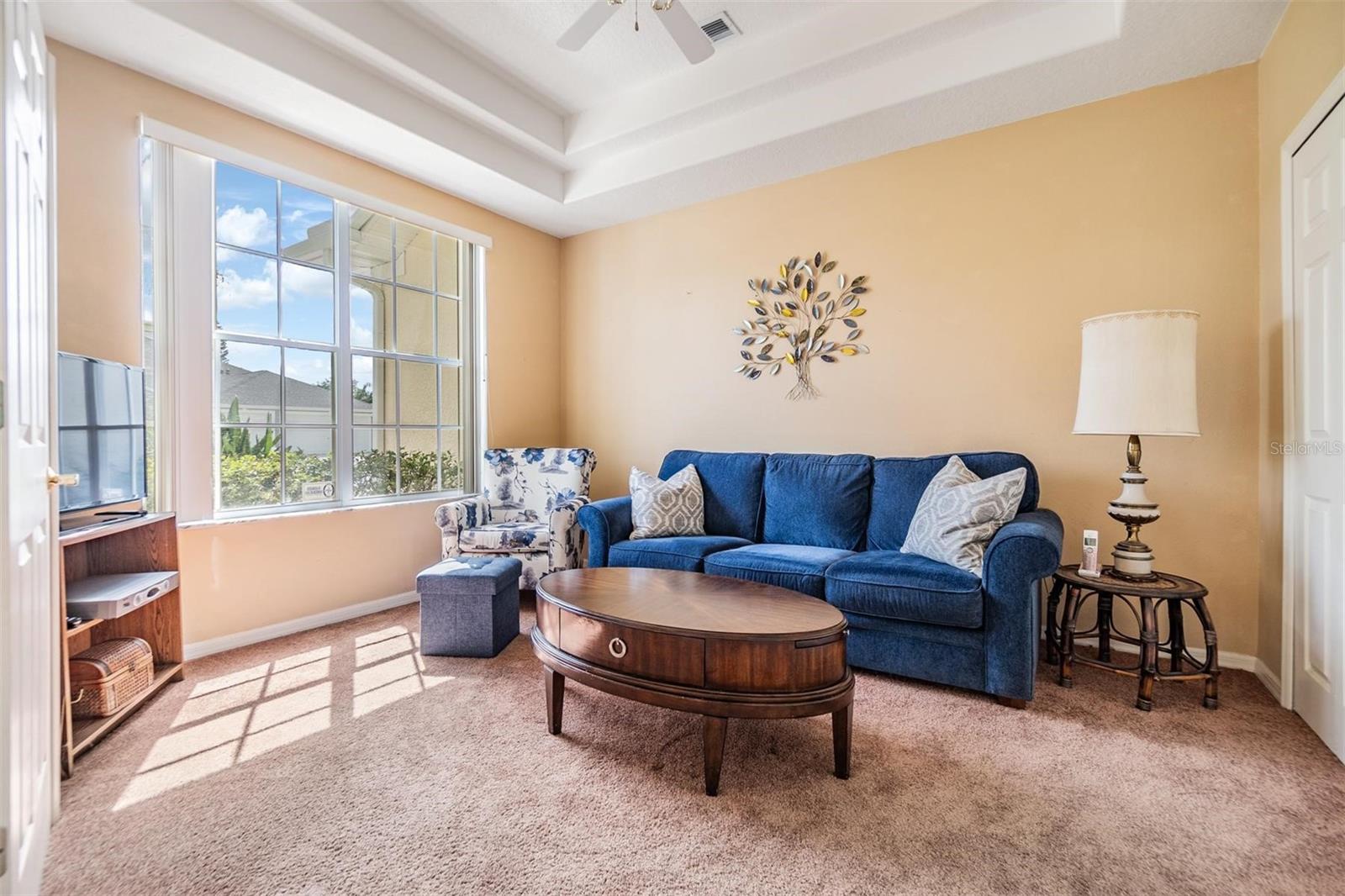 5th Bedroom/Den Tray Ceiling