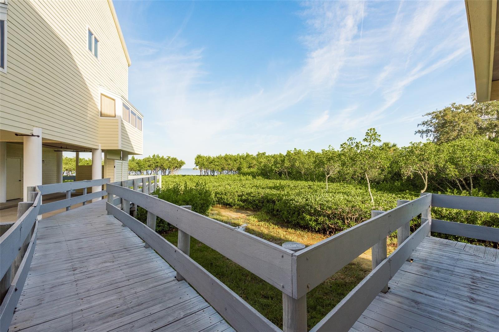 back deck overlooking mangroves