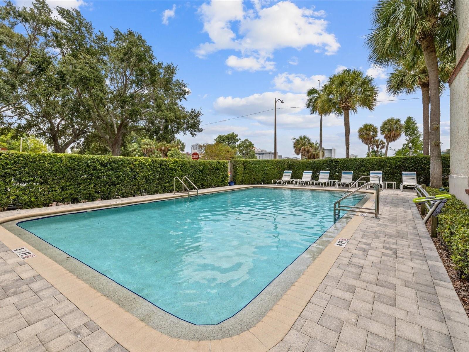 Beautiful HEATED Pool surrounded by goegeous pavers