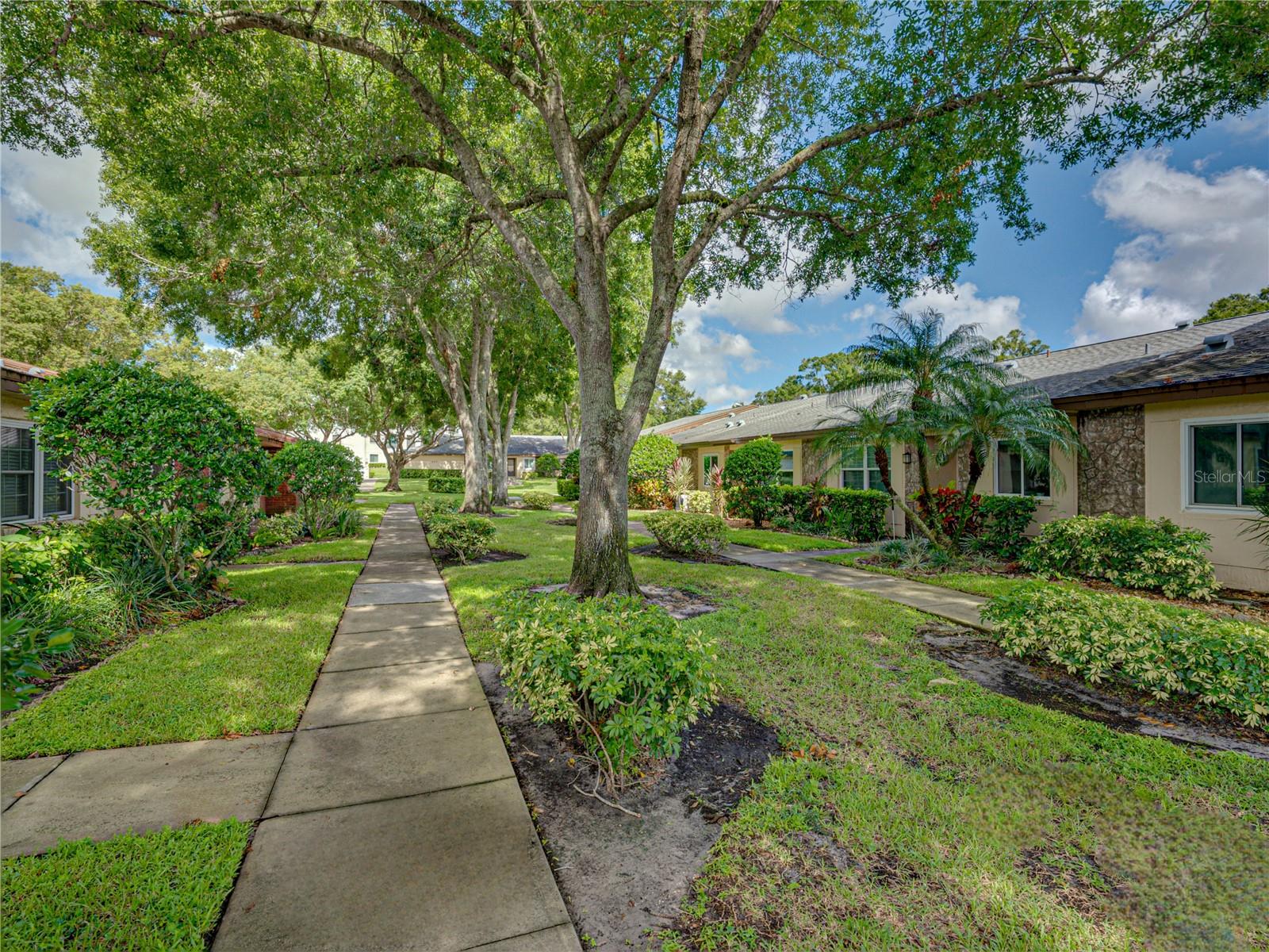 Peaceful and serene entrance just a few steps away from oversized 1 car garage~