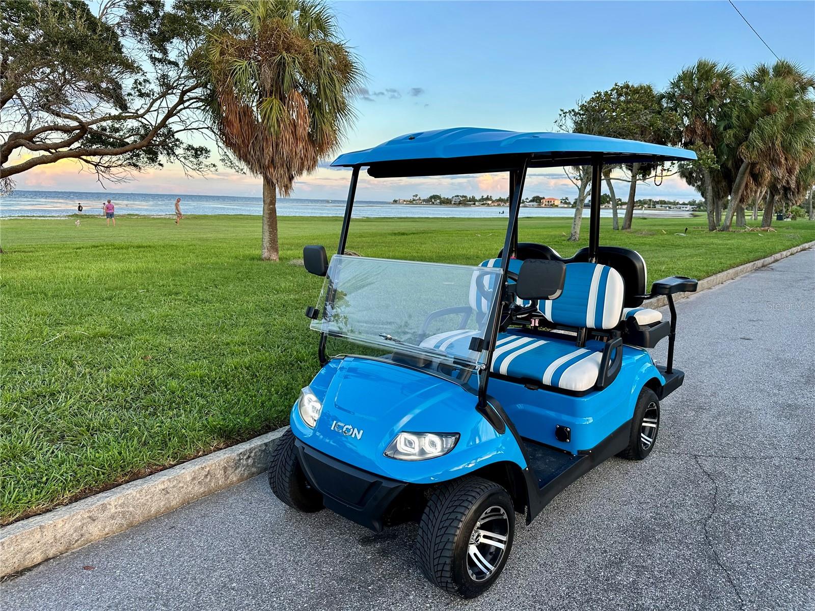 Golf cart at Lassing Park 2 min ride or 6 min walk