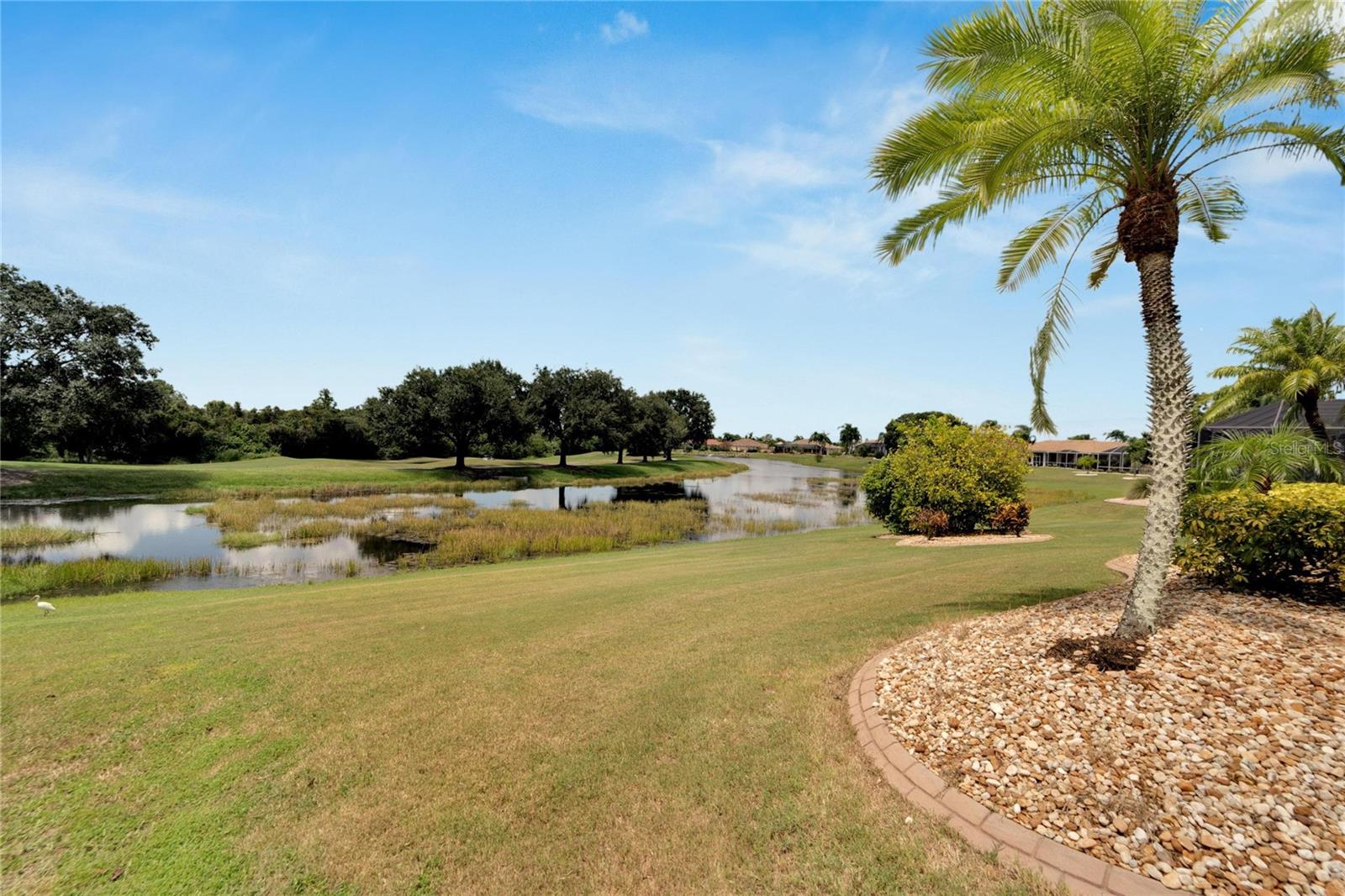 Rear Yard Pond View