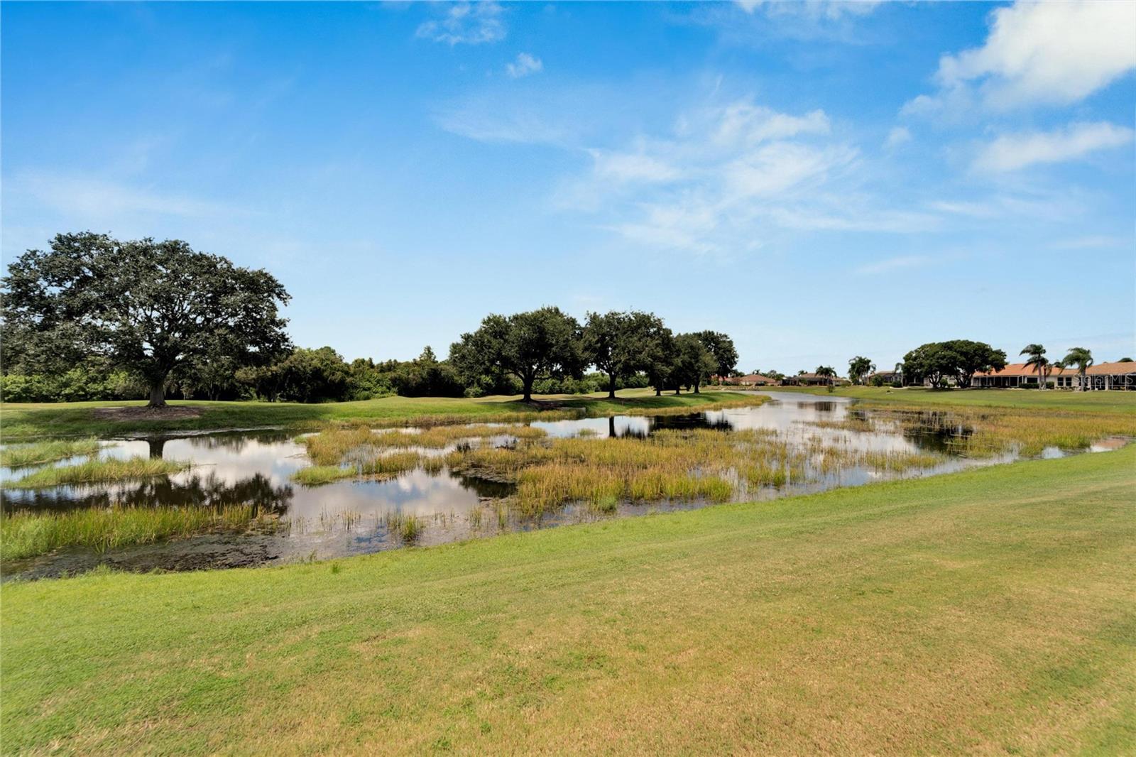 Rear Pond, Renaissance Golf Course & Conservation View