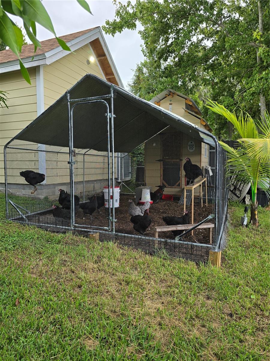 CHICKEN COOP