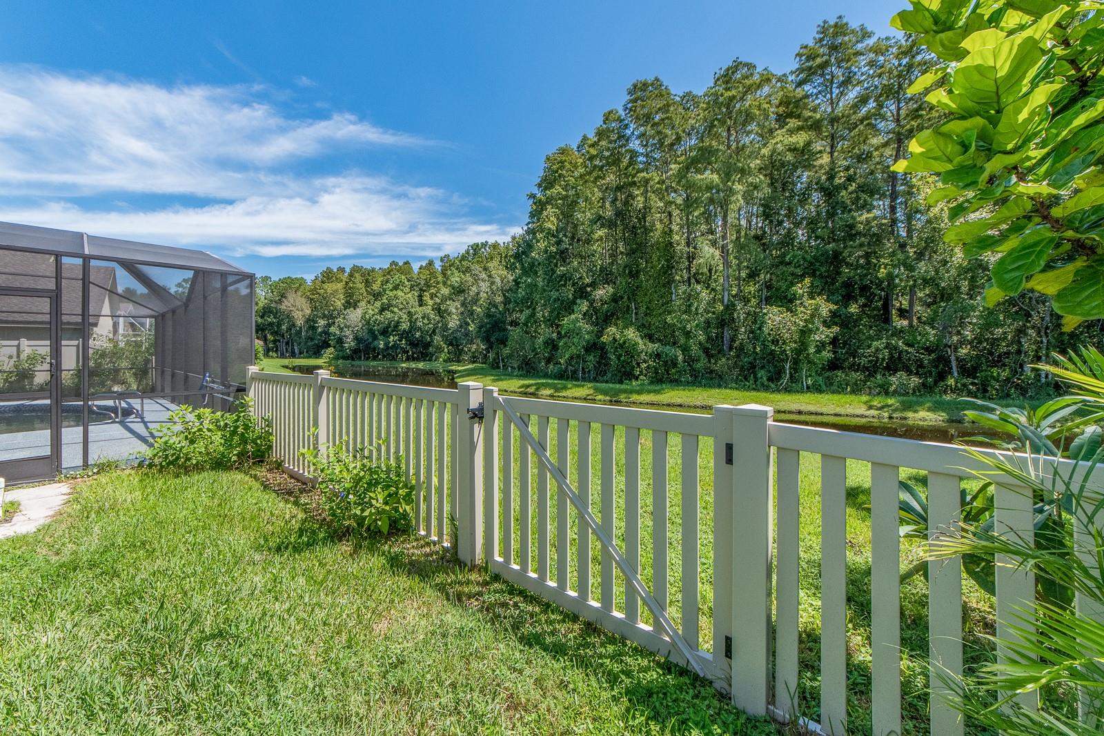 view from rear yard