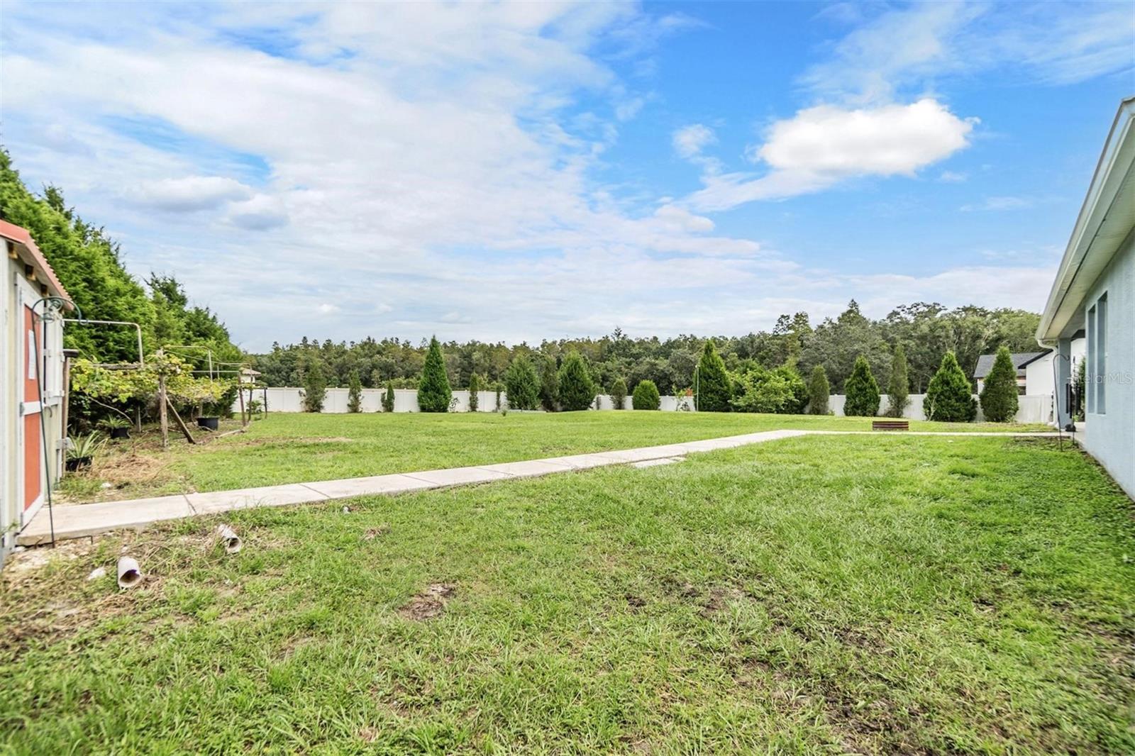 Massive Open Back Yard