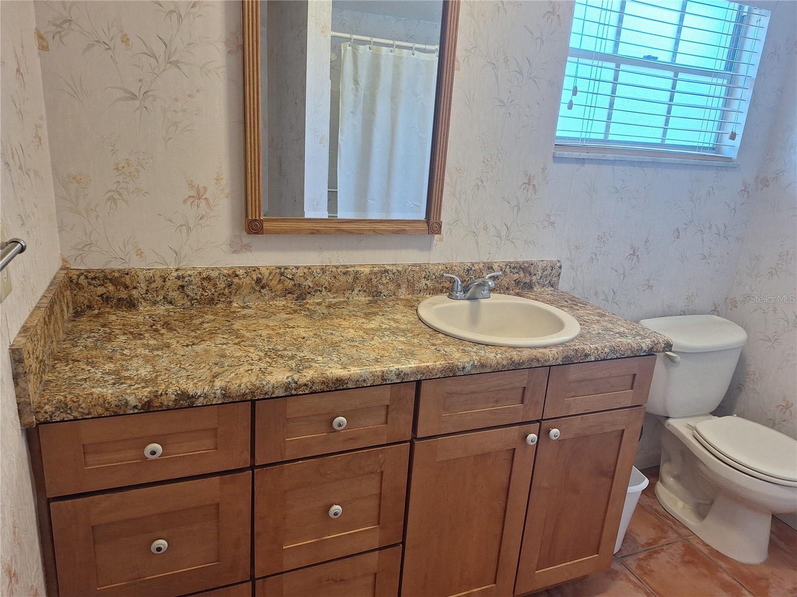 Hall Bathroom with Nice Cabinetry