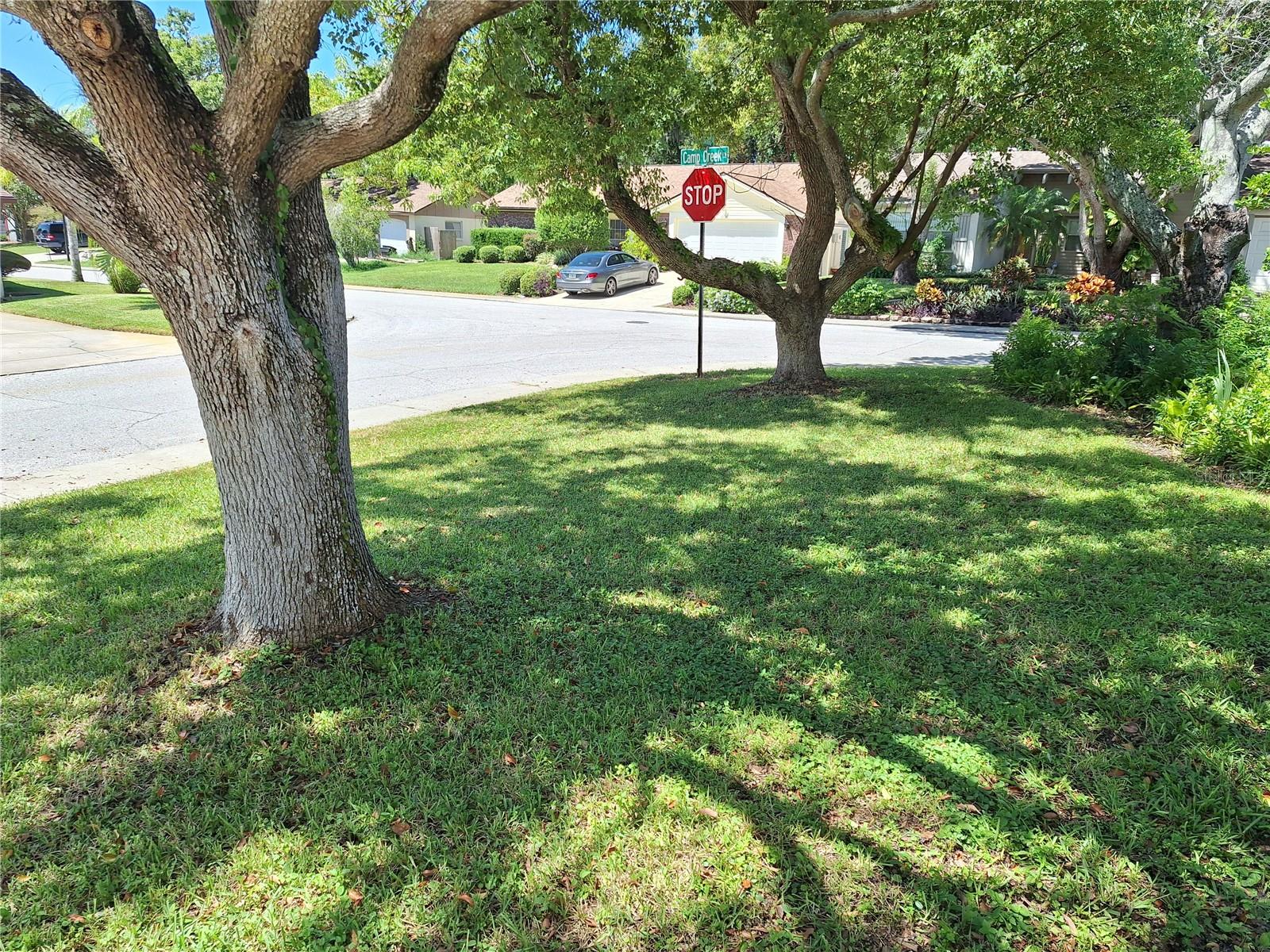 Gorgeous Corner Lot