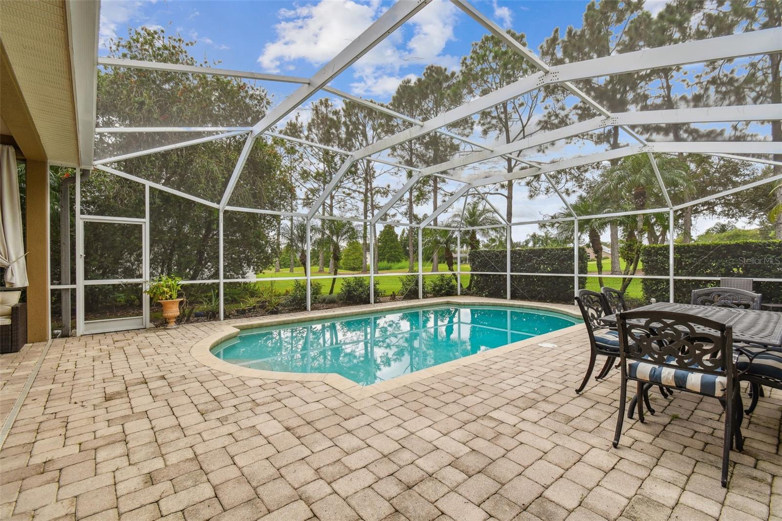 Newley screened cage on lanai