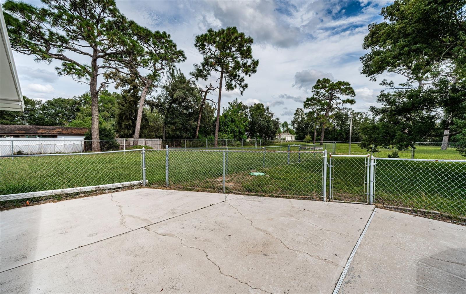 Patio/Backyard