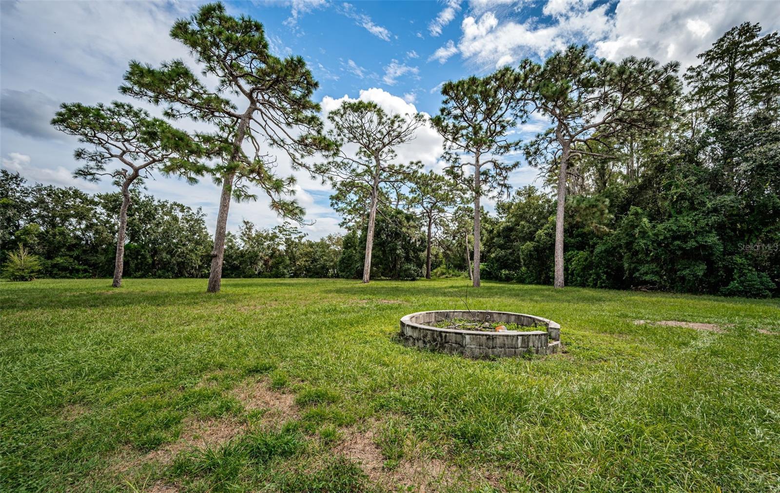 Backyard/Firepit