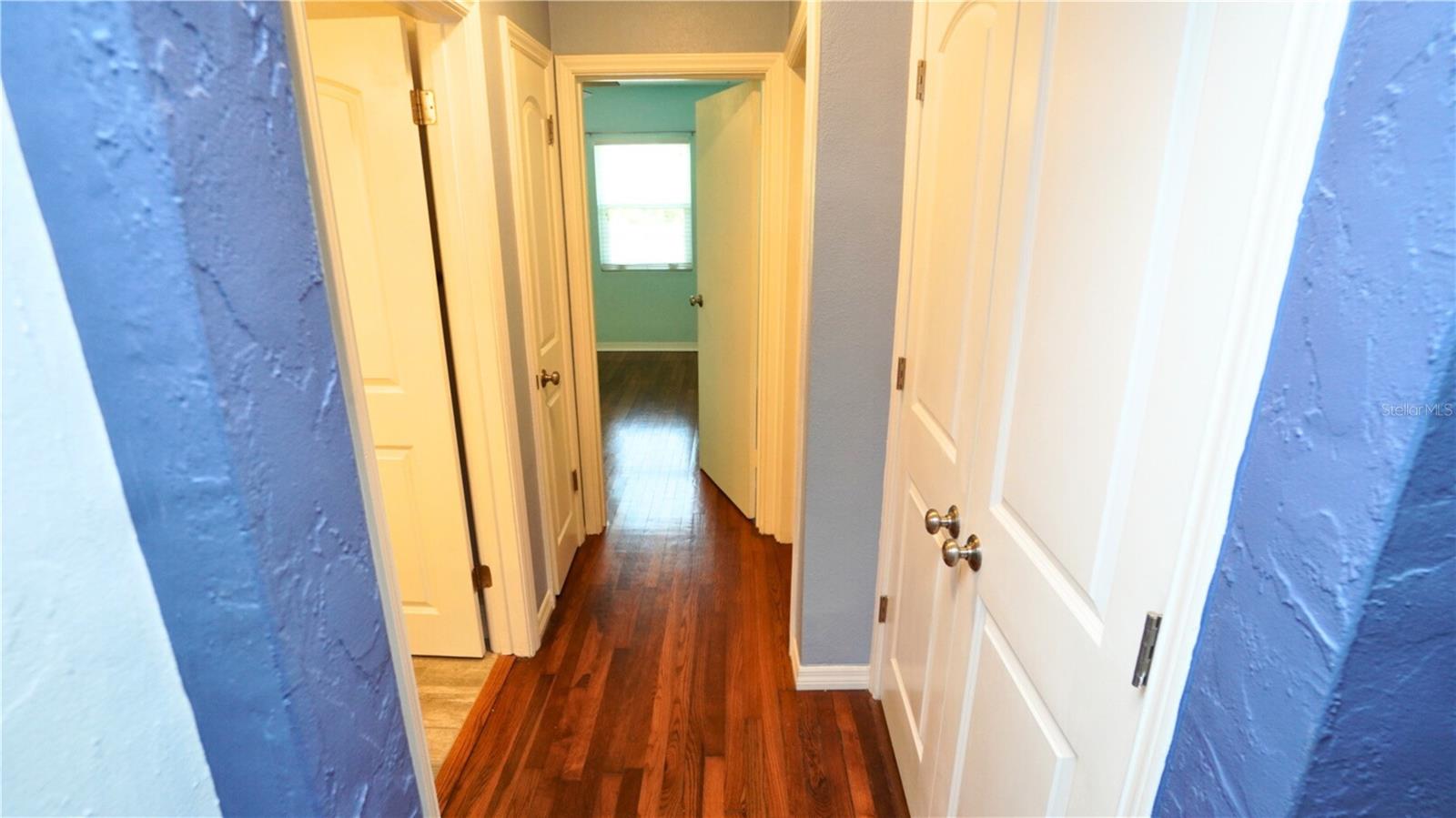 Hallway / Closets