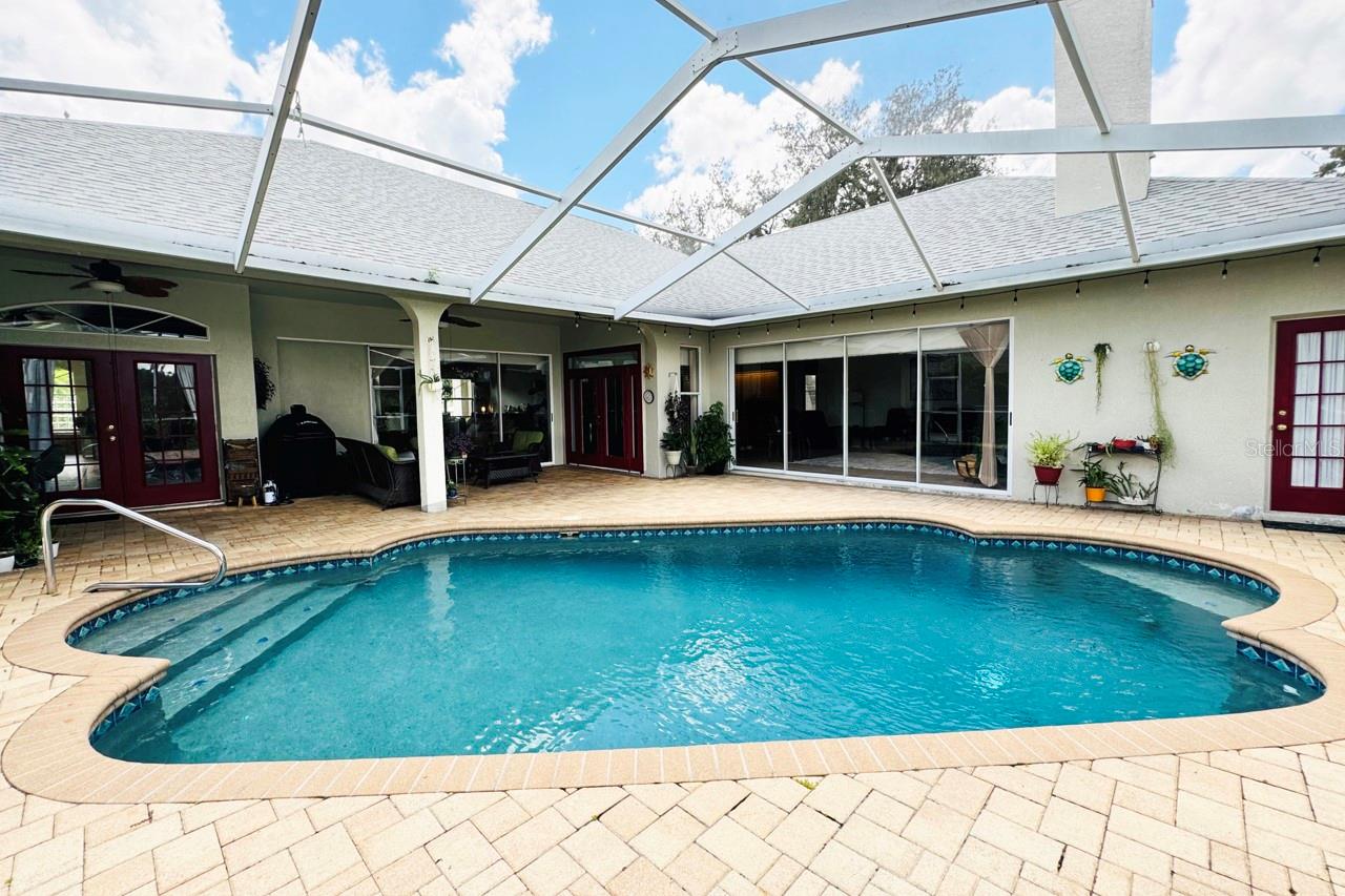 Pool and all entry back doors to the house