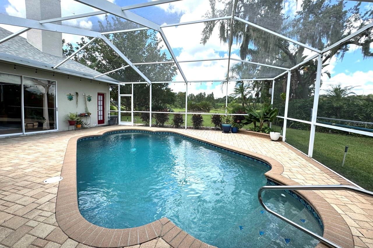 pool view, pavers and back yard