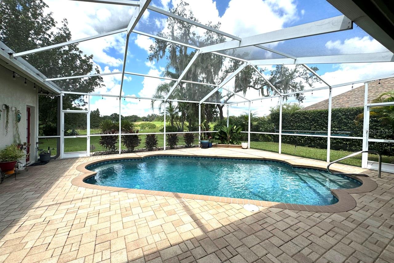 Beautiful and relaxing pool and back yard view through the screened enclosure