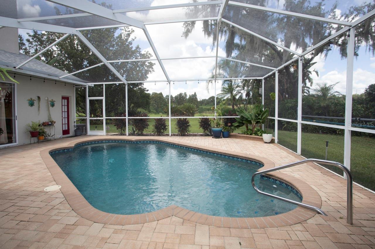 Pool view and beyond the back yard