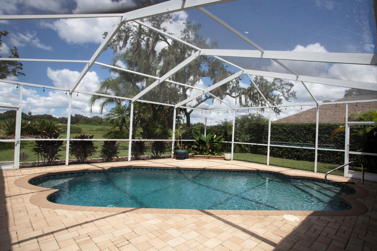 Lovely pool and back yard view