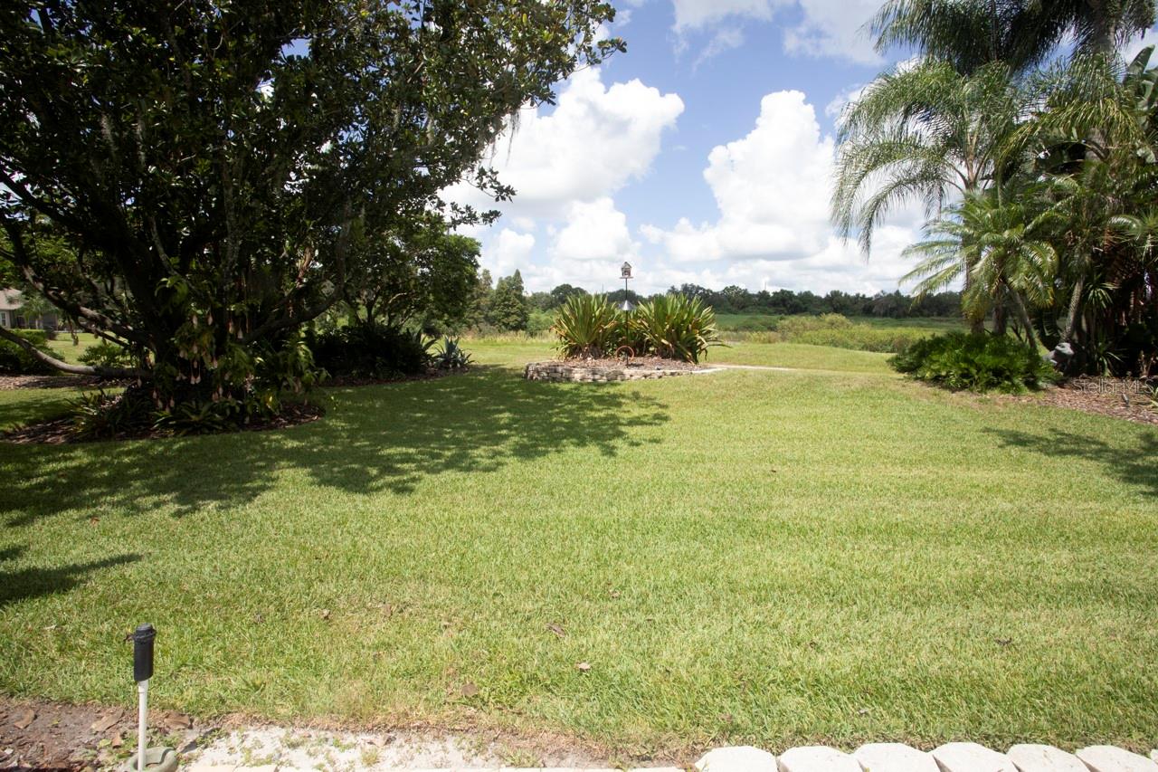 Serene Backyard view