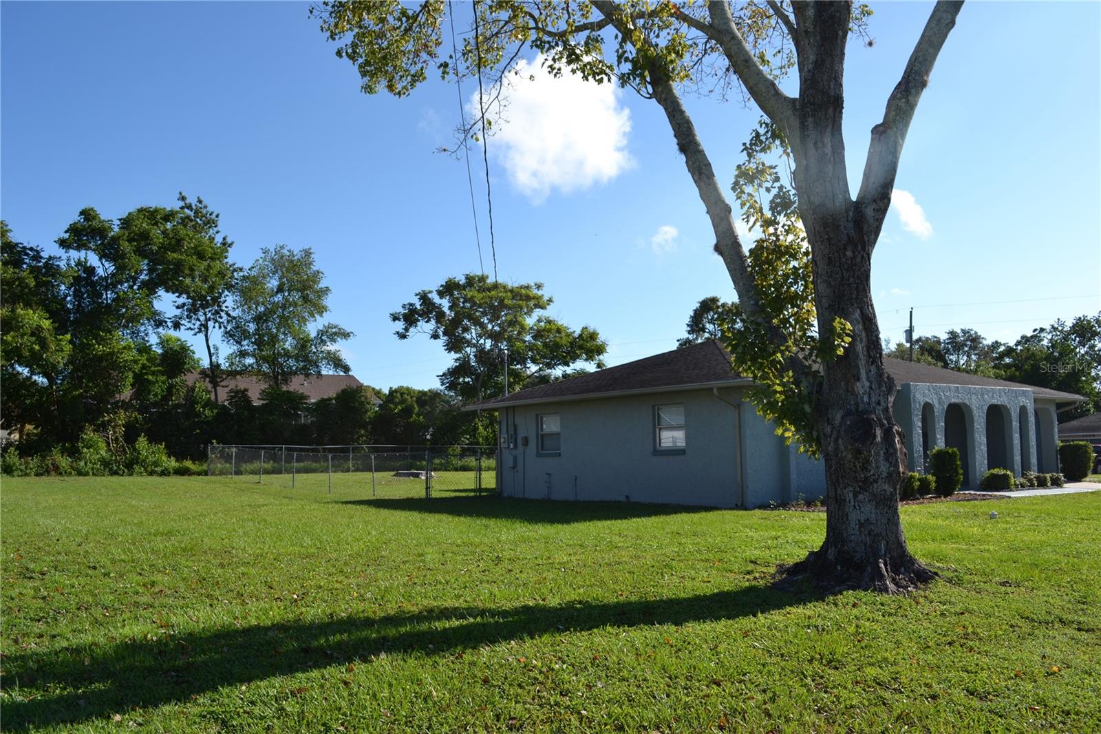 Large back yard