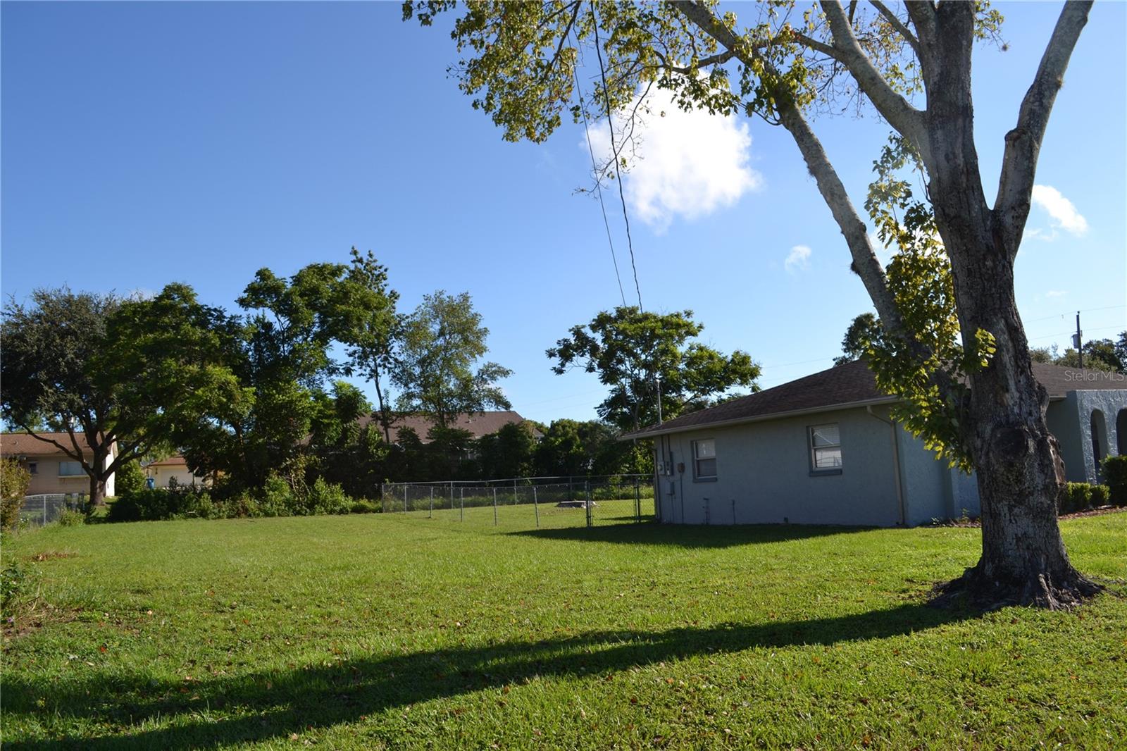 Large back yard