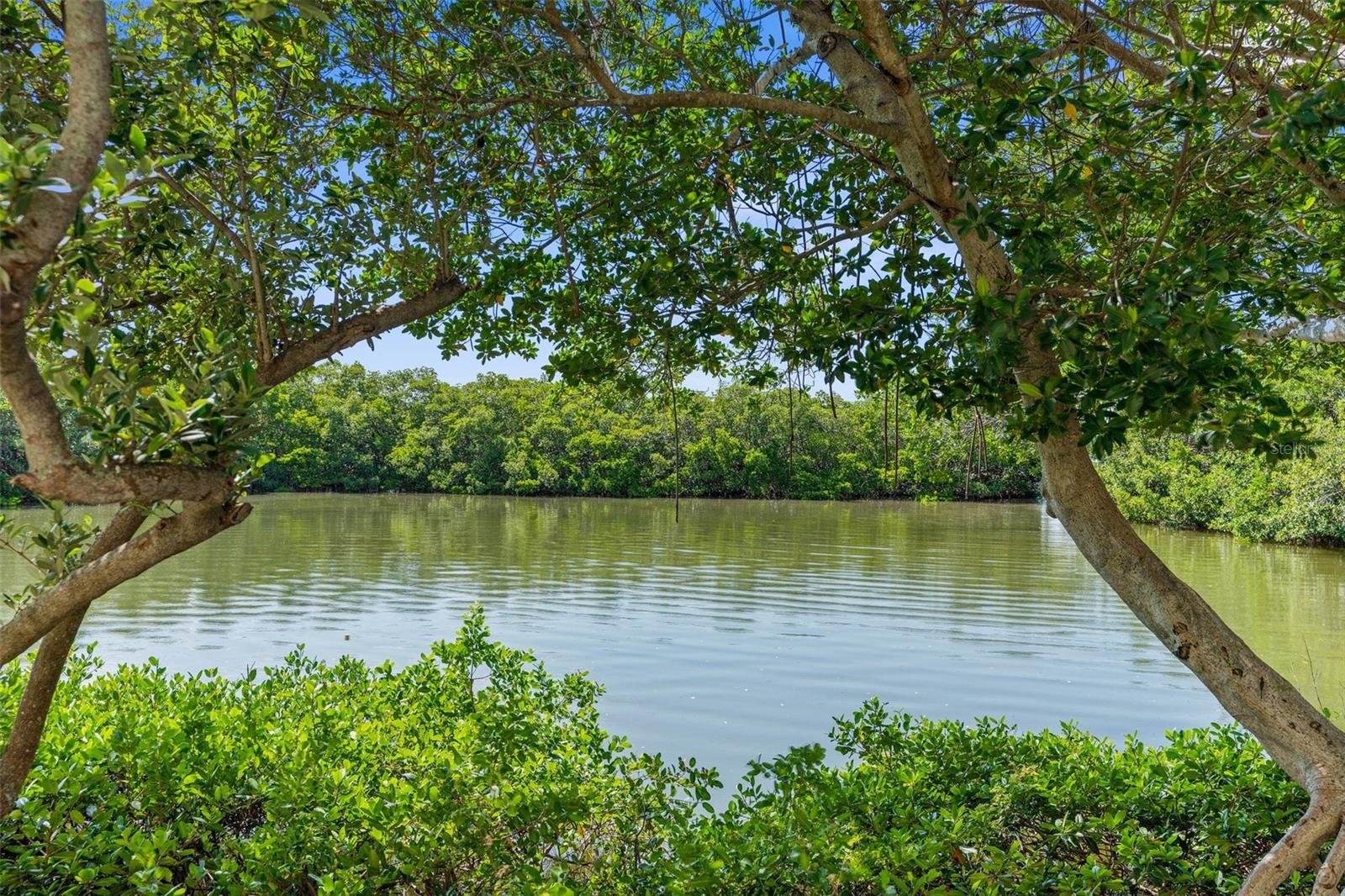 Kayak inlet which leads to the bay and to the gulf.