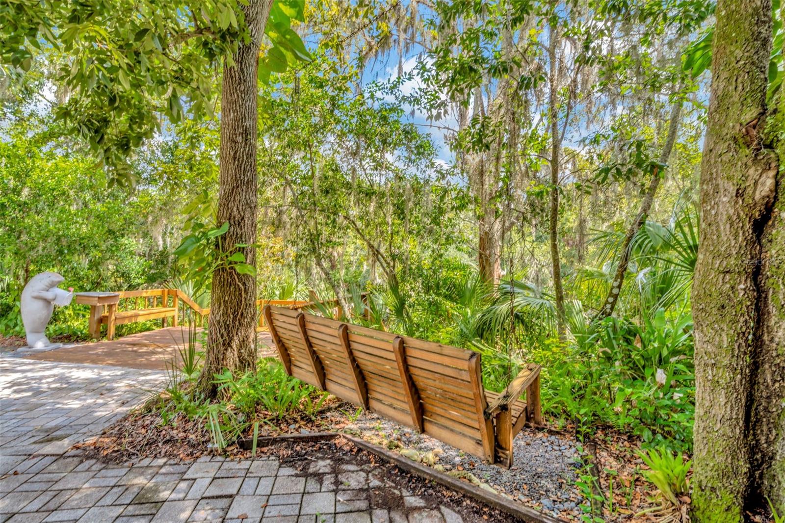 Backyard swing and deck