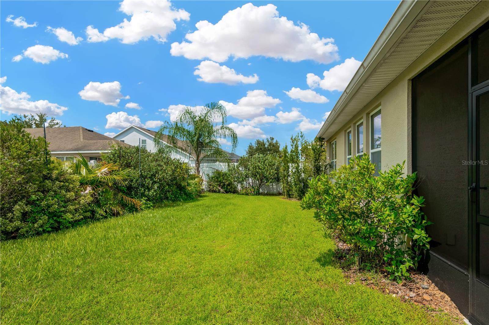 Landscaped Yard