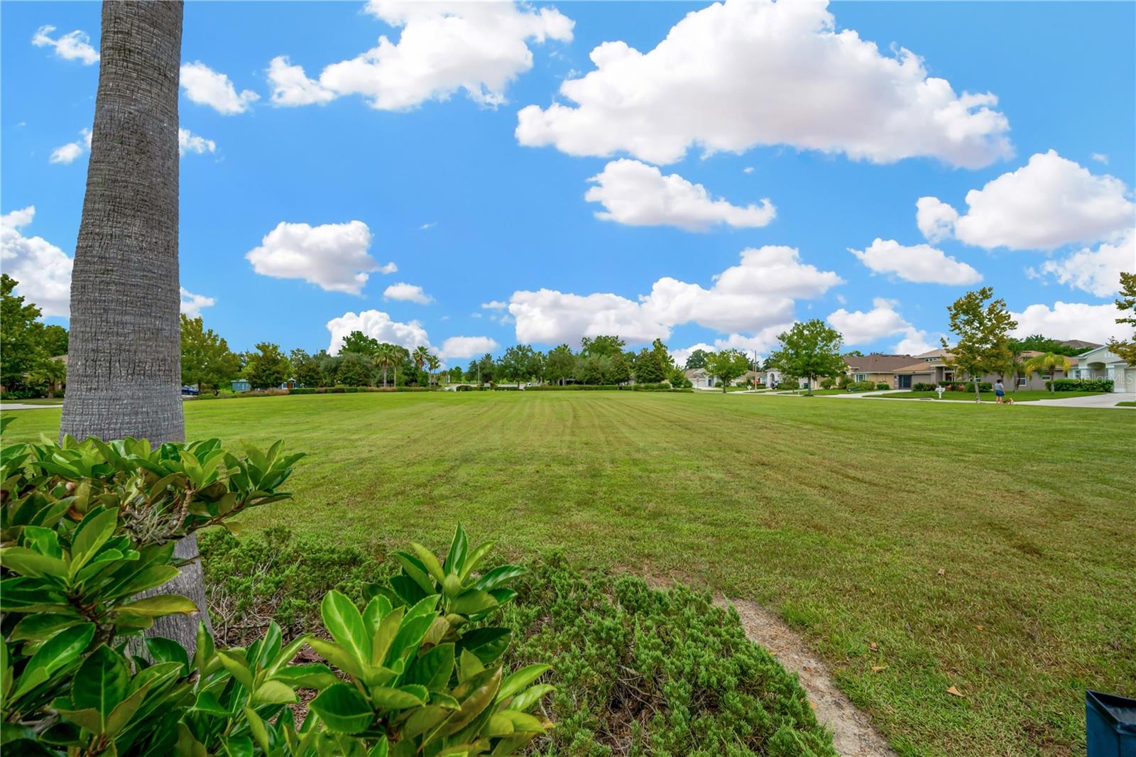 Lots of Green Spaces