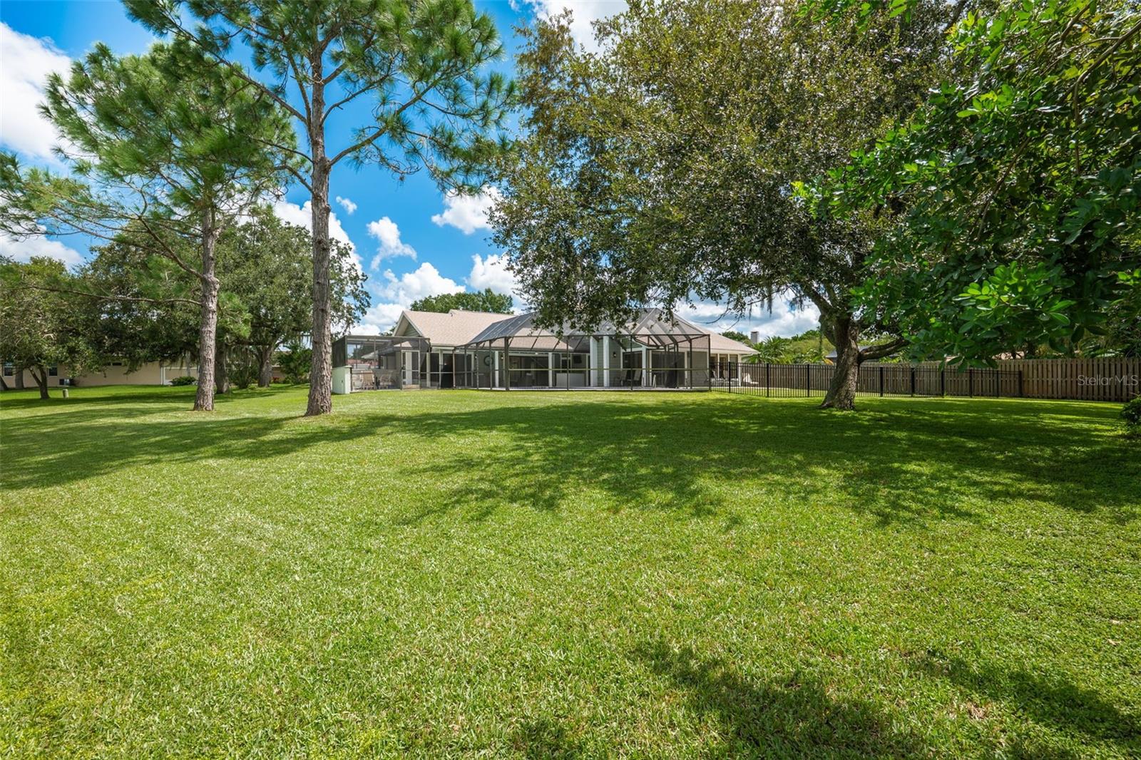 Large open backyard