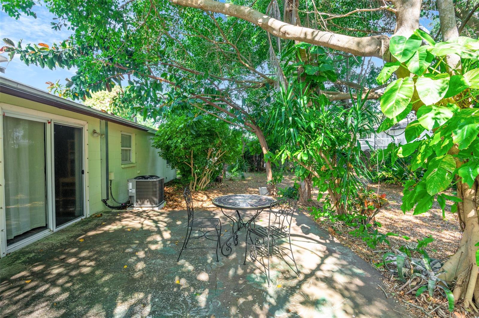 Backyard and patio