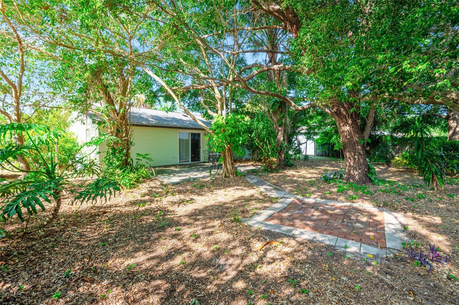 Another view of the back yard.