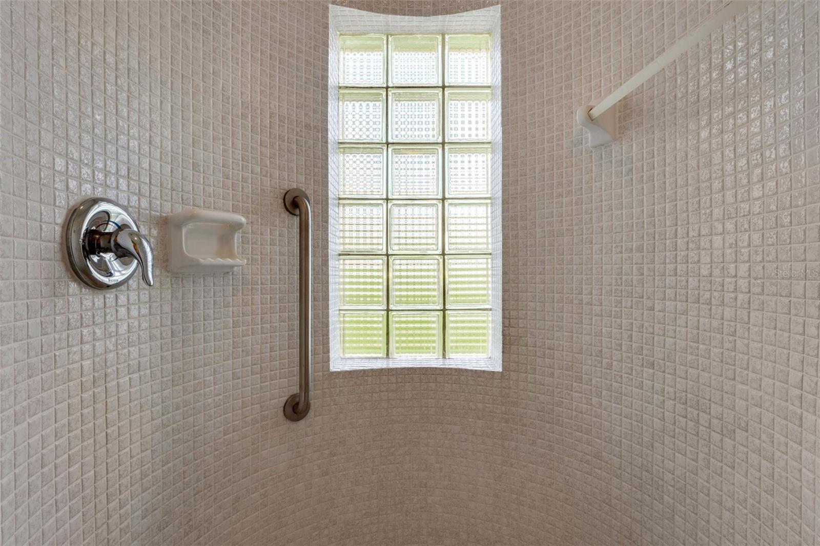 Circular Shower with Glass Block in Primary Bath