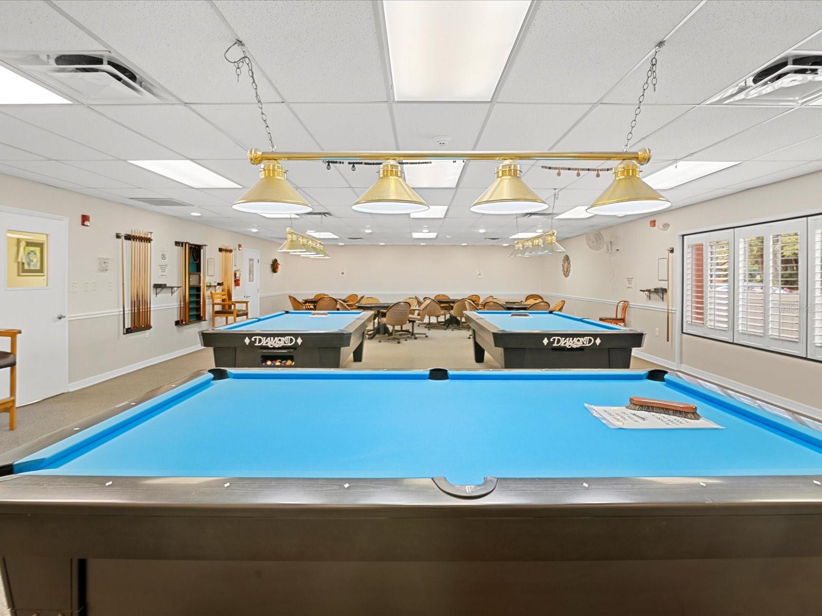 Timber Oaks Community Center Pool Table