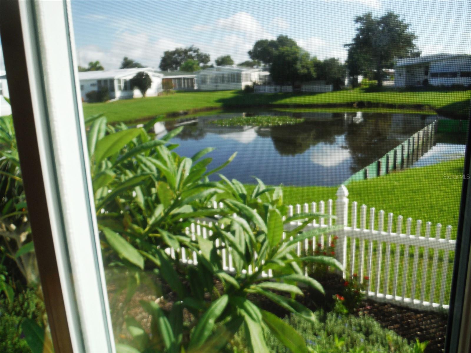 View from the Lanai or Florida Room