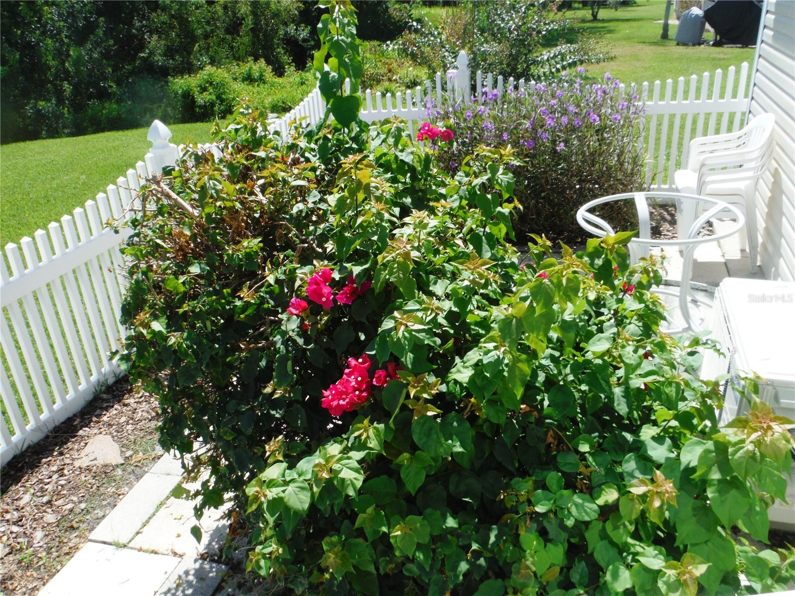 Garden Between the Lanai & Pond