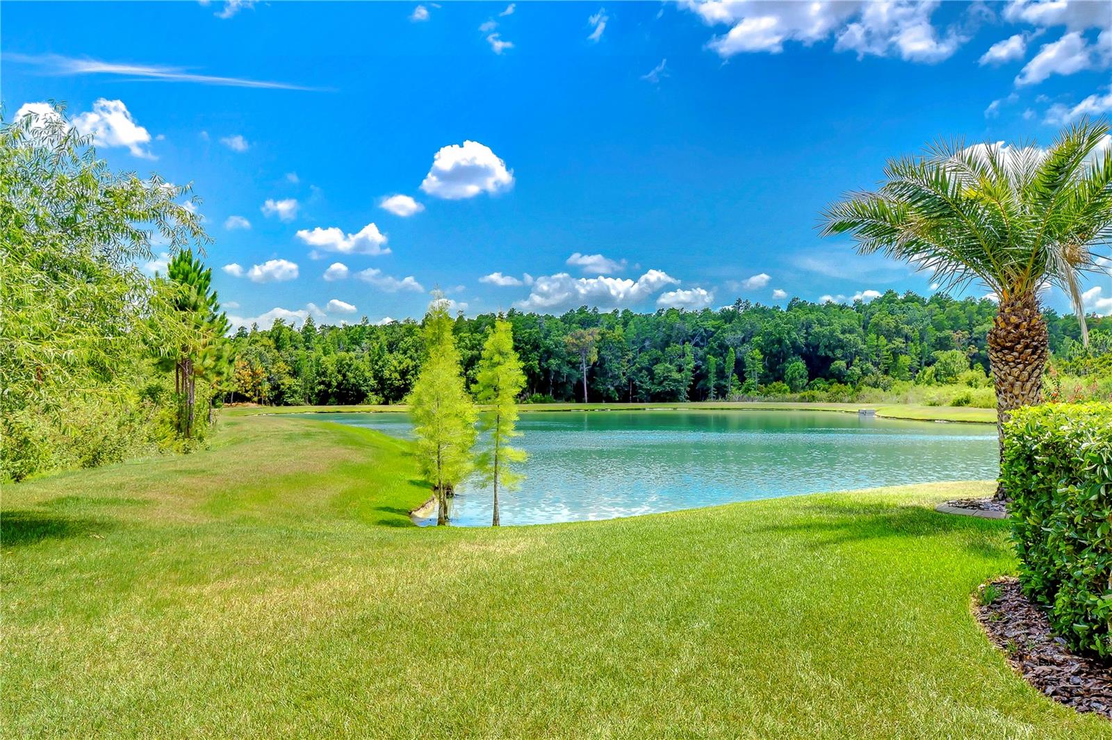 Partial pond view