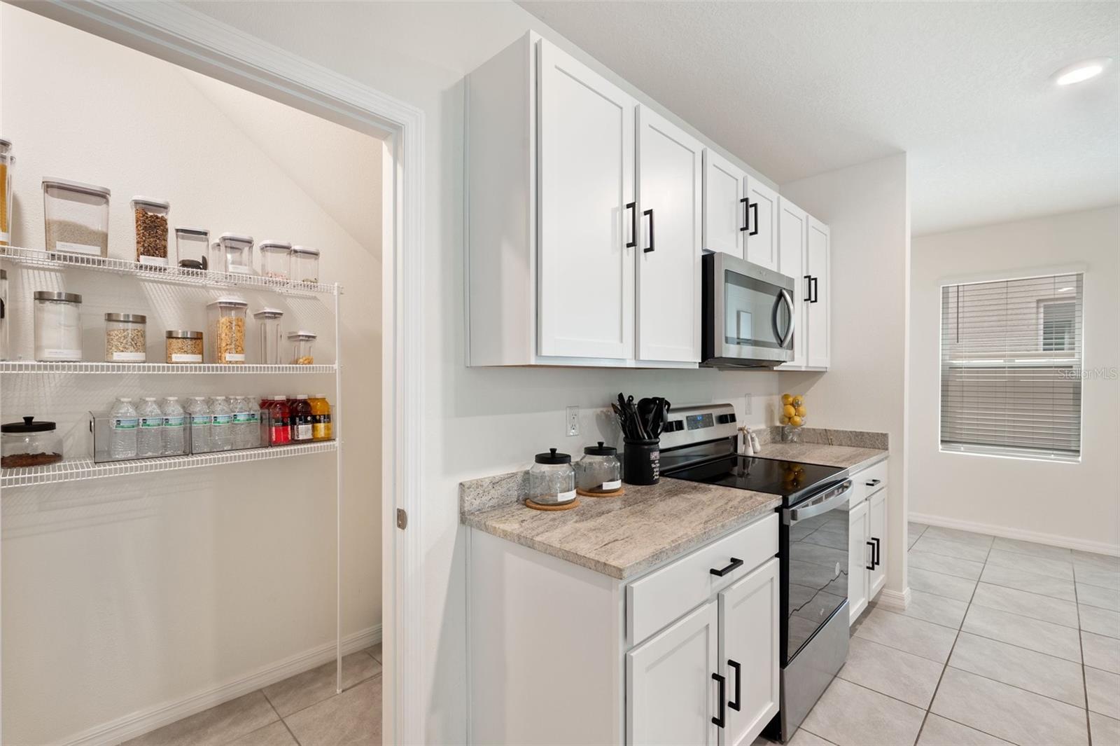 Kitchen Pantry View