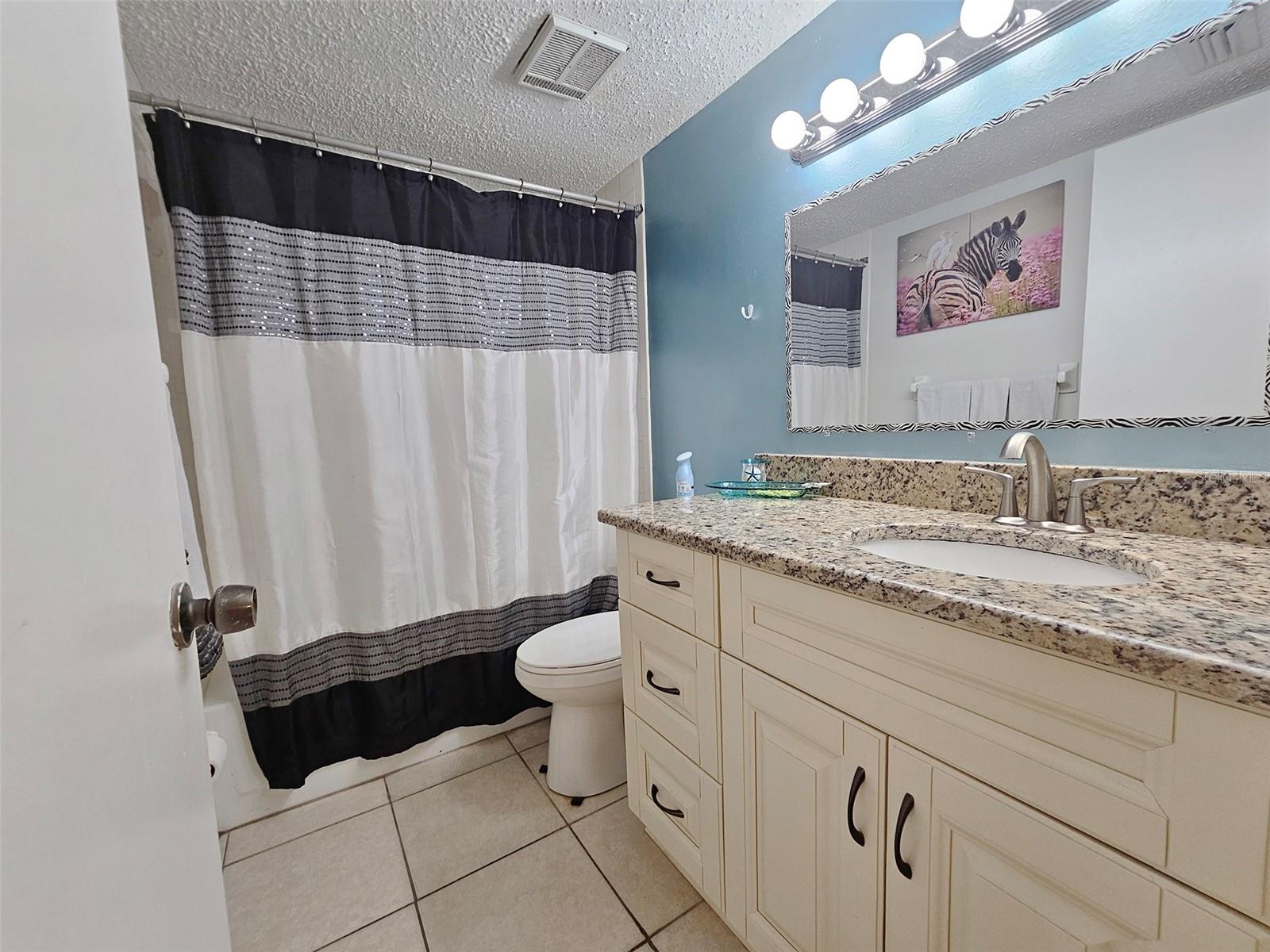 Guest Bathroom w Shower/Tub Combo