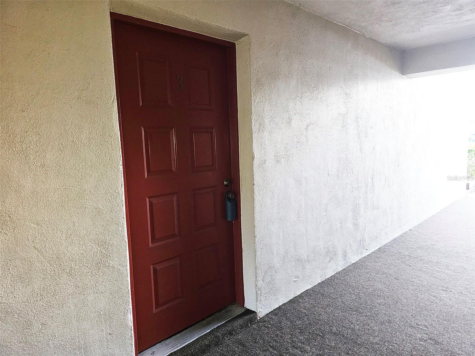 Condo Entry Door