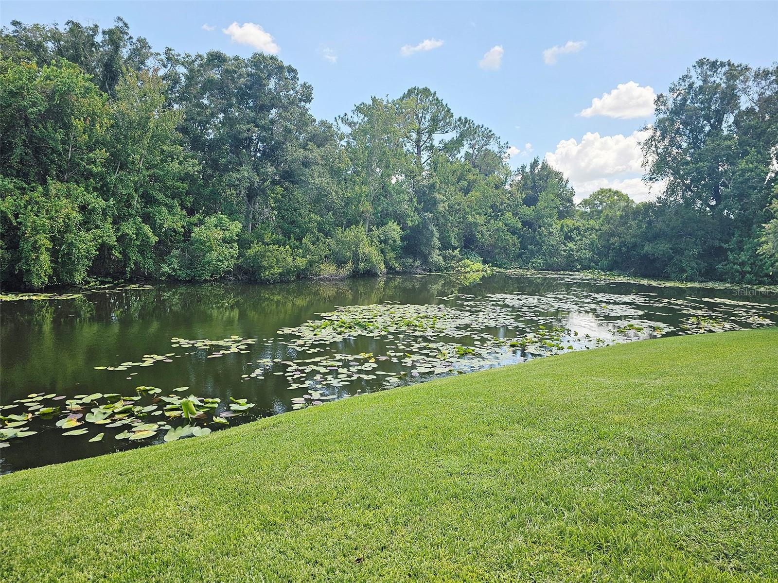 Pond at Rear of Building