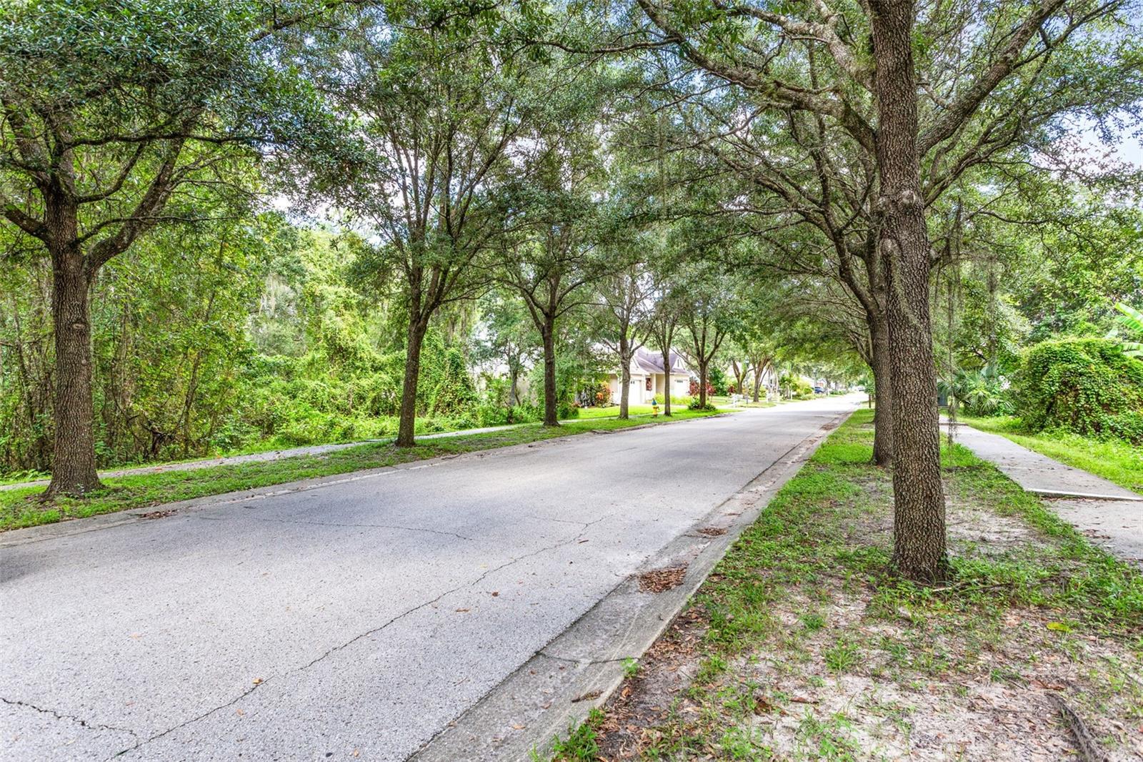 Canopied tree lined cul de sac with conservation land on both sides of the sidewalks. Quaint!