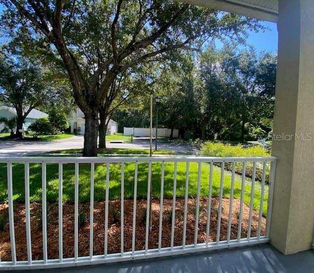 Nice view from the porch with your coffee!