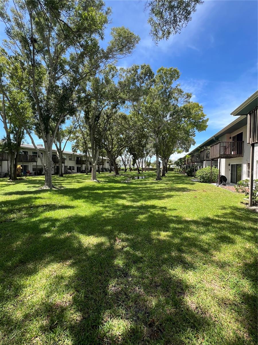 Beautiful Green space outside condo.