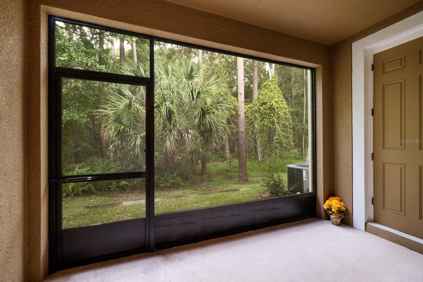 Enclosed Patio with extra storage closet.