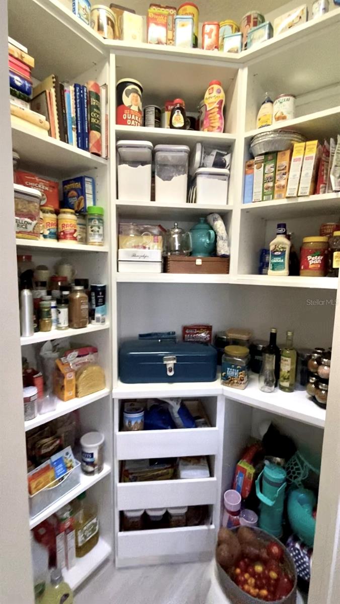 Custom Pantry Built In Storage