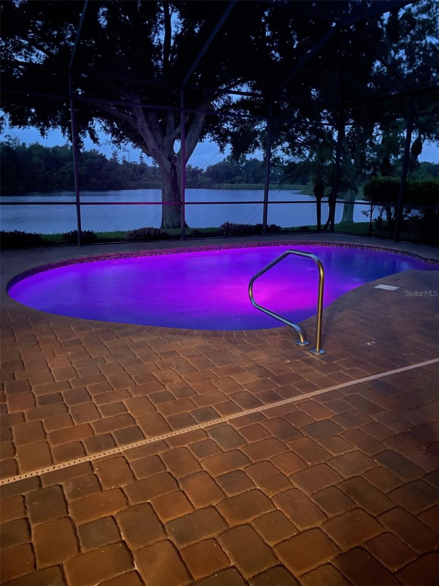 Custom Pool Lights