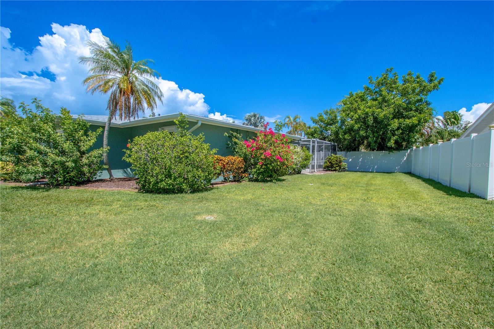 Meticulously manicured side yard.