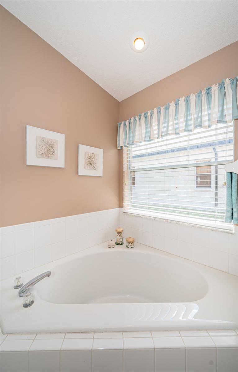 Primary Suite bath - garden tub