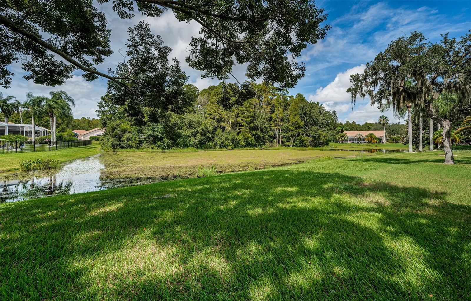 Conservation and Pond views